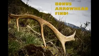 Colorado Shed Hunt: Part 1: I found an arrowhead!