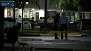 2 Killed 20 Shot during shooting at Miami-Dade Concert (Florida)