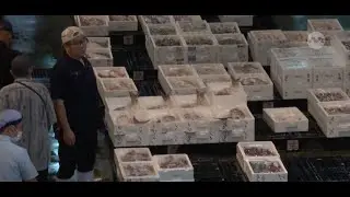 Russia mulls joining China in banning Japanese seafood imports