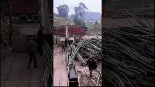 I bet you&rsquo;ve NEVER seen wood processed this way... 🛠️