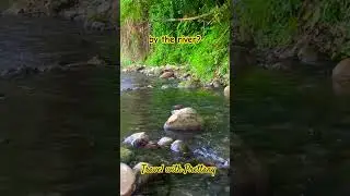 📍St Mary, Jamaica #travel #jamaica #nature #camping #short #shorts #vacation #river