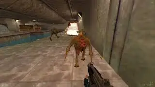 Half-Life: Opposing Force. Глава 10 