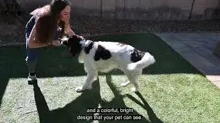 Interactive Durable Dog Chew Toys for Aggressive Small Medium Large Breed Chewers