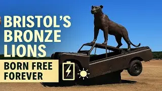 Bristol Lions Sculpture Exhibition | Born Free Forever Tribute to Bill Travers