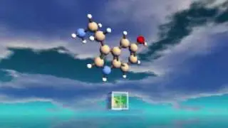 Second Life in Education