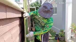 สาระพัด ช้าง : รั้วไม้ไผ่ สไตล์ญี่ปุ่น Japanese Fence