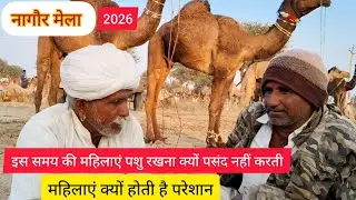 Nagaur pashu mela 2026 || नागौर पशु मेला 2026 || Nagaur Mela 2026 | लड़कियां क्यों होती है परेशान 