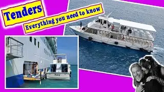 Tendering 101: Everything You Need to Know      With Sea Leg Journeys