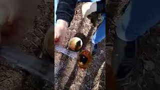 #весна #поход #рекомендации