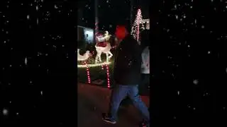 Mark from the States Reacts:  Merry Christmas and Local Christmas Lights