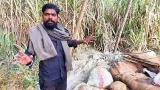 इस borewell की दुख भरी कहानी | बड़े नुकसान के साथ | borewell drilling machine | water borewell 2025
