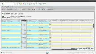 Creating personnel cost plans in SAP HCM
