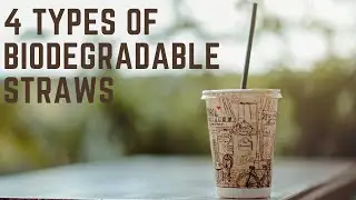 4 Types of Biodegradable Straws