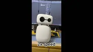 Reachy mini For Home Assistant