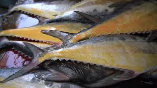Yellowfin Tuna Fish Cutting | Sea Fish Express Speed fast Cutting Skills