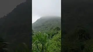 Mountains covered in fog 💚.......#mountains #assam #mountain #india #kamakhya