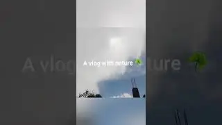 A vlog with nature ☘️#lifestyle #naturelovers