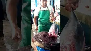 Fast⚡Unreal knife skills! tuna butchering like a pro #viralskill  #tunacutting  #fish #shorts
