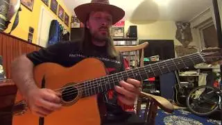 Ajde Jano Guitar