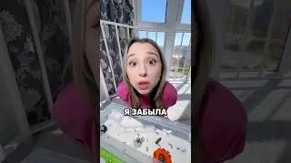ВЫЖИВУТ ЛИ МУРАВЬИ БЕЗ ПРИСМОТРА