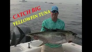 Tuna Fever In Ocean City! Chunking Again For Yellowfin Tuna! SPINFISH1