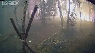 Video captures flames from raging Minnesota blaze