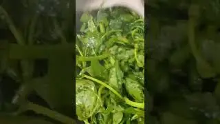 Shorts # Tumis Kangkung Blacan Simpel dn Mantap@ YouTube SARIAJAA 🫰😋🙏