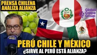 🚨PER&Uacute;, M&Eacute;XICO Y CHILE SE UNEN PARA  CONTROLAR EL MERCADO MUNDIAL : &iquest;CONVIENE A PER&Uacute;?