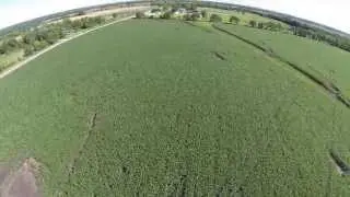 Crop Scouting Corn with UAV's