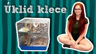 🧼 Úklid potkaní klece  🧹🐀