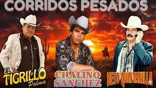 Chalino Sanchez, Beto Quintanilla y Tigrillo Palma Mix Para Pistear || Corridos Viejitos Mix 2026