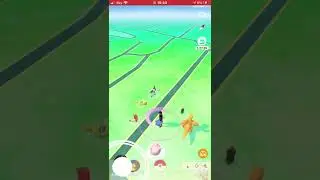 Pok&eacute;mon go friends
