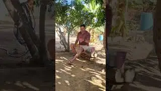 Esperar em Deus 🙏