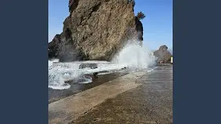 스친나에 인연