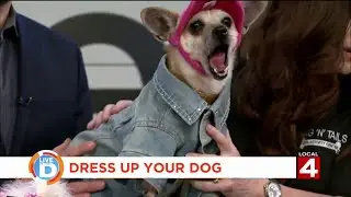 Live in the D: Celebrate National Dress Up Your Pet Day!