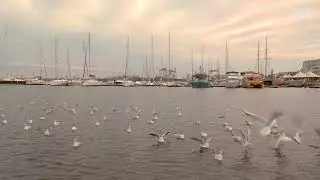 Portul Turistic Mangalia