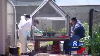 Salinas Valley and Silicon Valley merging for ag-tech summit