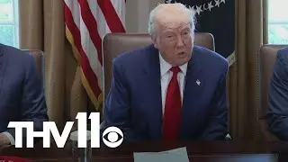 Trump's pause on foreign student visas impacts business