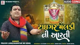 Parvin Luni  | Tiger Meldi Ni aarti | Aadhyashakti Mataji ni aarti | T M sound