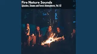 Warm Fire