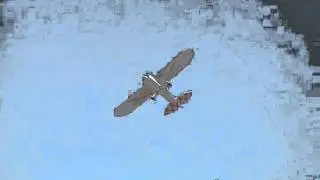 Dave Patrick clipped wing Super Cub, 1/4 scale, electric