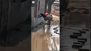 #badshah