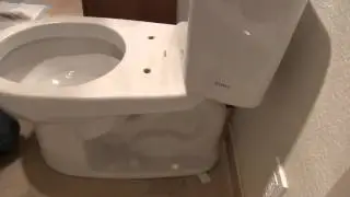 Cutting toilet closet bolts
