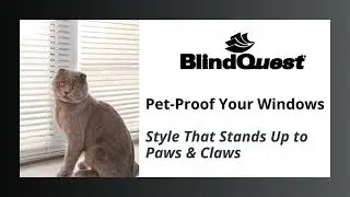 Pet-Proof Window Treatments That Actually Last