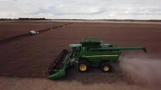 Canola Strip Trial Harvest