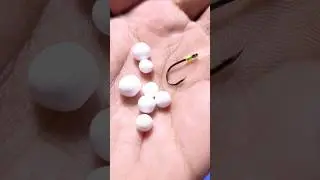 How to Install Bait for Tilapia Fishing #shorts #fishing #fishingtips