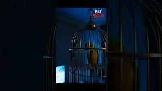 It laughed&hellip; but whose voice was that? #BirdHorror #AIShorts #CreepyAnimals #HorrorPet