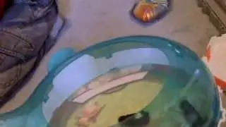 VID01622.AVI