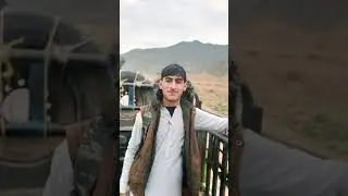 Mujeeb digital | digital skillier | fast growth trick | #shorts #shortsfeed #ytshorts