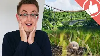 Pok&eacute;mon theme park?! | dispatch - theme park news